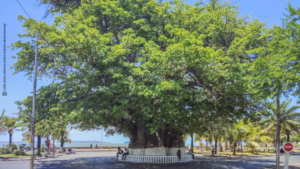 Hôtel à Majunga : pourquoi choisir la Ville des Fleurs pour vos vacances ?